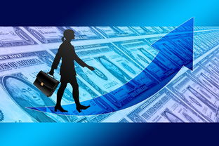 乐鱼体育在线登陆-女子赛事门票收入创新高，商业赞助进一步跟进，女子锦标赛